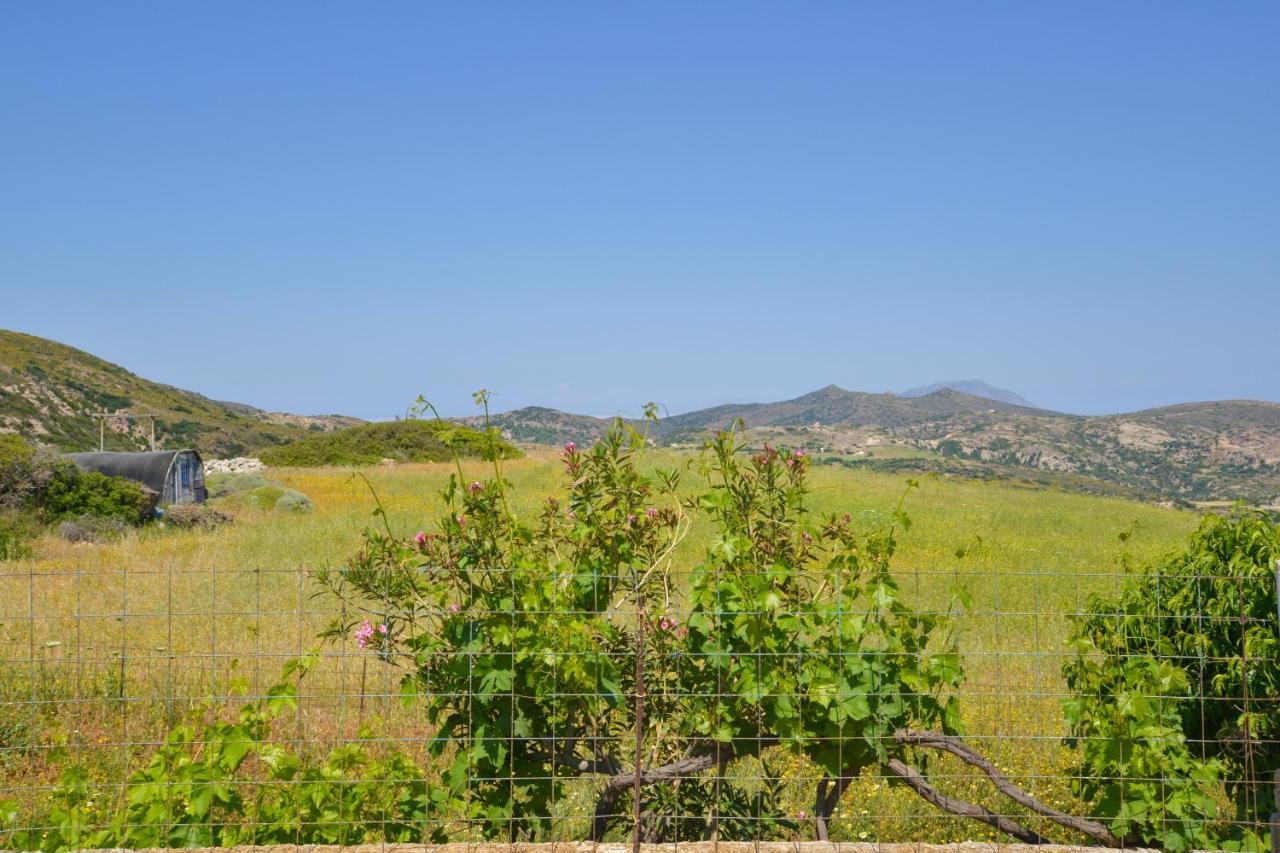Xalakas Summer House Embourios  Bagian luar foto